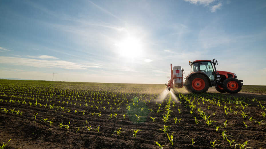 Tractor disparando pesticidas al maíz